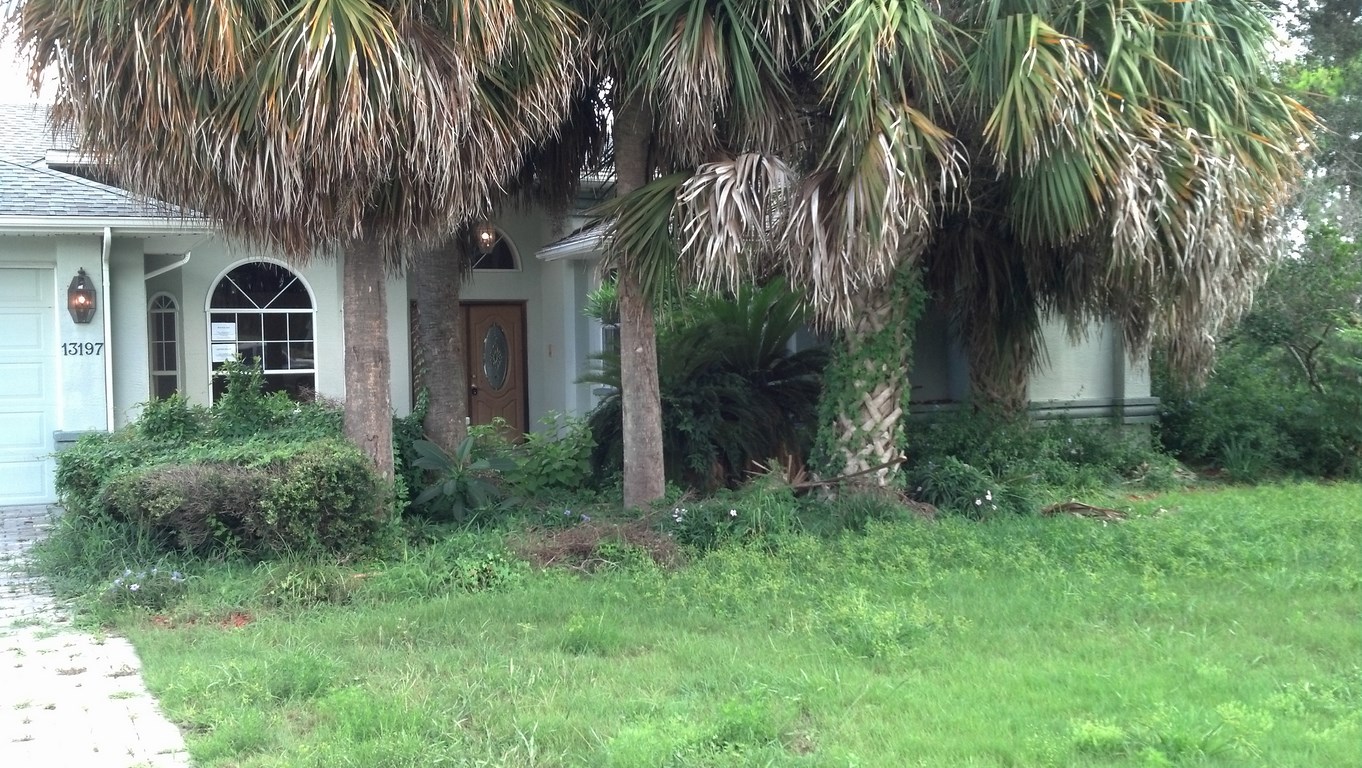 Before picture of Heavy Overgrowth on House Front Entry