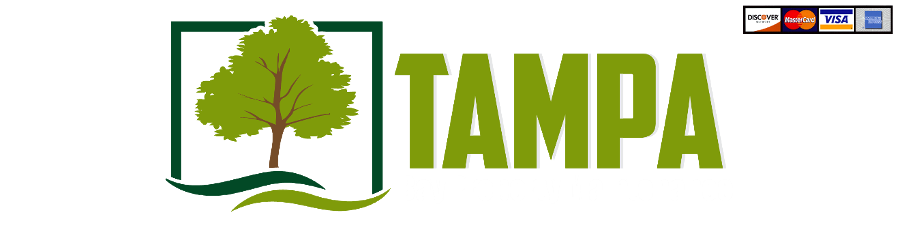 Tampa Bay Property Maintenance